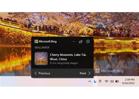 Bing Visual Search Wallpaper 的图像结果