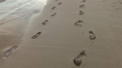 Image result for Lgorithms Write Defination No Video