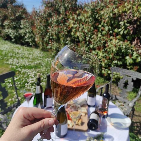 CANTINA CUPELLI (2026) All You Need to Know BEFORE You Go (with Photos ...