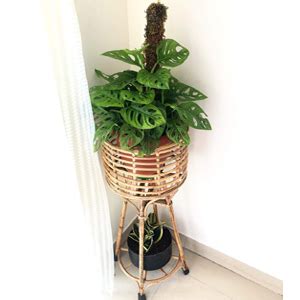 HM SERVICES Bamboo Planter Stand, Brown, Standard, 1 Pc, Brown : Amazon ...