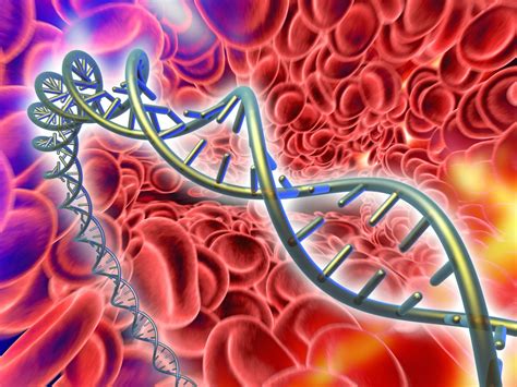 Epigenetic Regulation Key to Daily Formation of Billions of Blood Cells