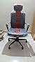 BOSQ High Back Home Office Desk Chair | Ergonomic Design with Advance ...