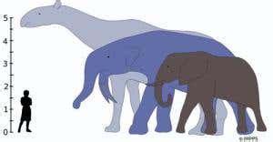 Image result for Full-Stack Web Developement Python