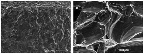 The Effect of Implantoplasty on the Fatigue Behavior and Corrosion ...