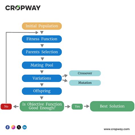 Genetic Algorithms 的图像结果