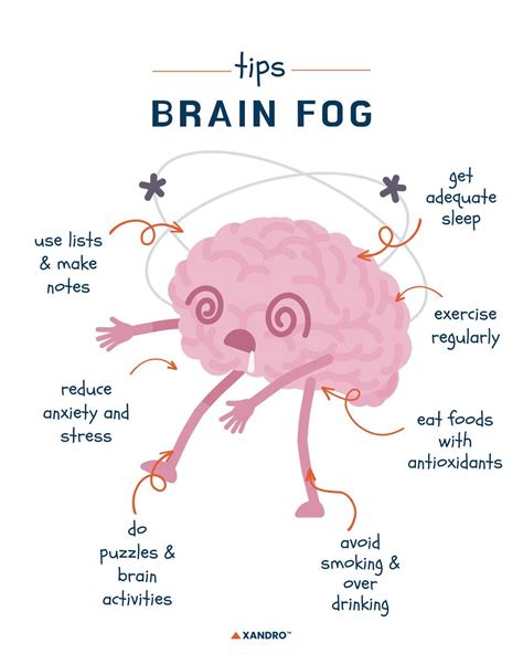 Menopause Brain Fog: Causes, Vitamins and Treatment Options - Xandro Lab