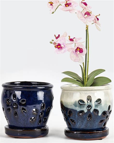 Ceramic Orchid Pots With Holes Australia at Andrew Godina blog