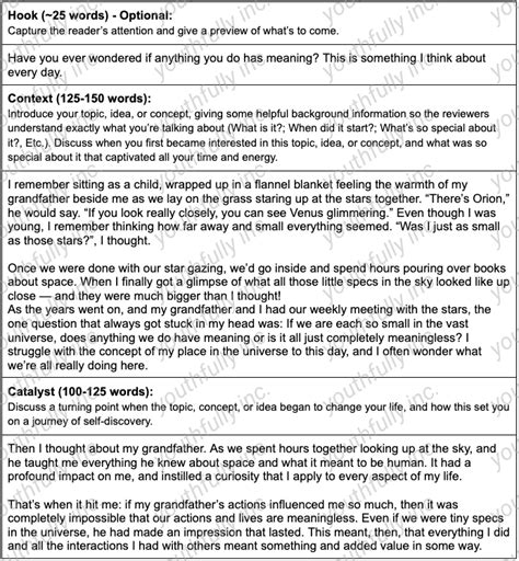 Image result for Common Application Essay Examples