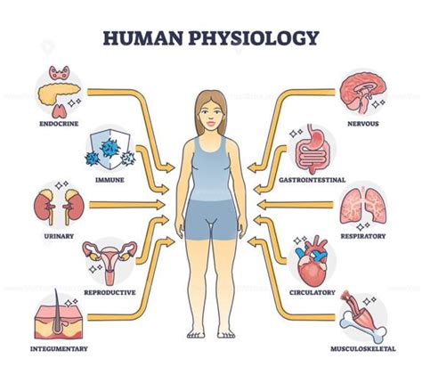 Biology Human Anatomy and Physiology 的图像结果