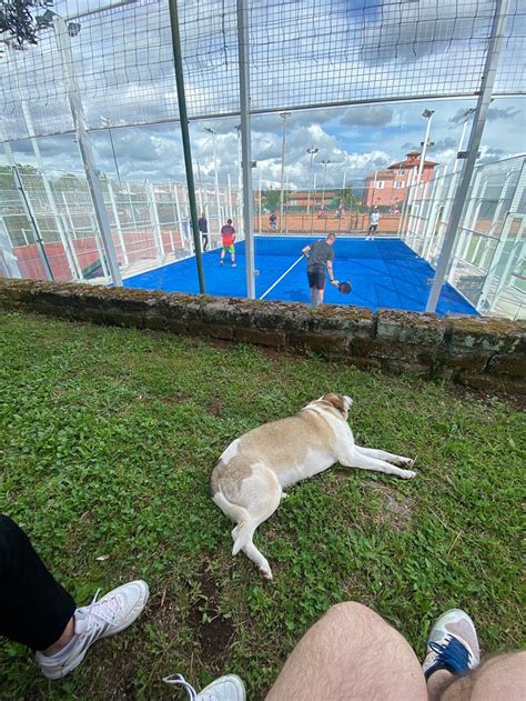 RELAX & SPORT VELLETRI - Guesthouse Reviews & Photos - Tripadvisor