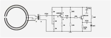 Image result for Wellerman Loop
