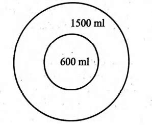 Two inflated Balloons I and II having volume 600 ml and 1500 ml at 300 ...