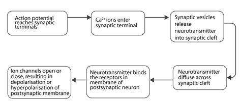 Image result for Neural Process