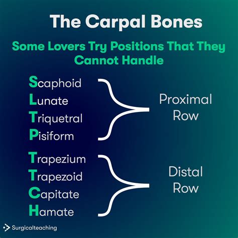 Carpal Bones Mnemonic