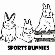 Image result for 10 Facts About Bunnies