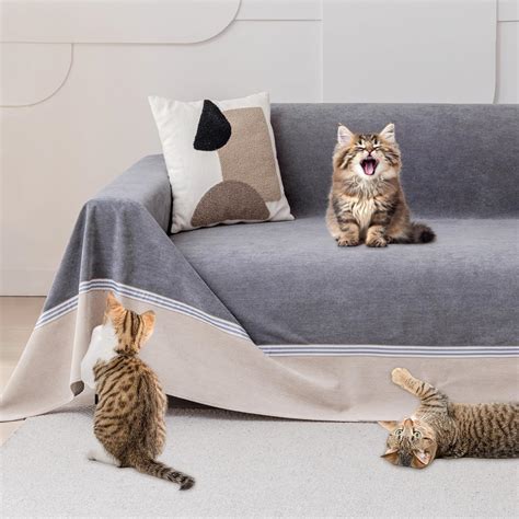 Cat Friendly Couch
