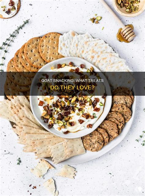 Goat Snacking: What Treats Do They Love? | PetShun