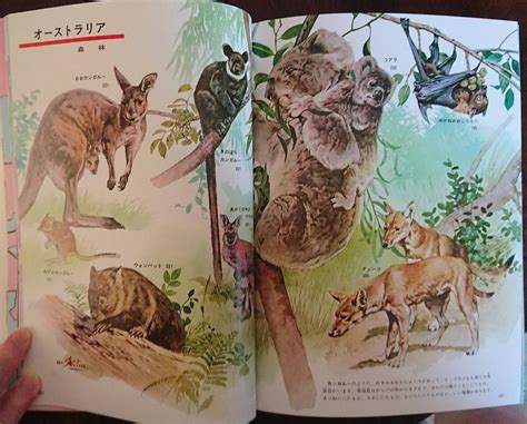 Image result for Alien Cat Drawin G