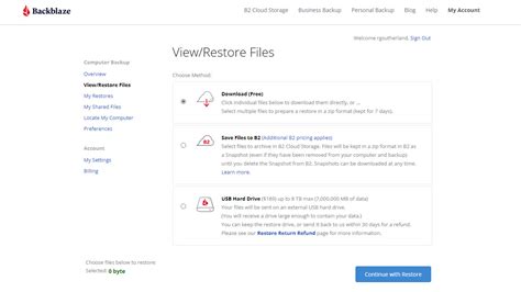 Image result for Backblaze Cloud Storage Options