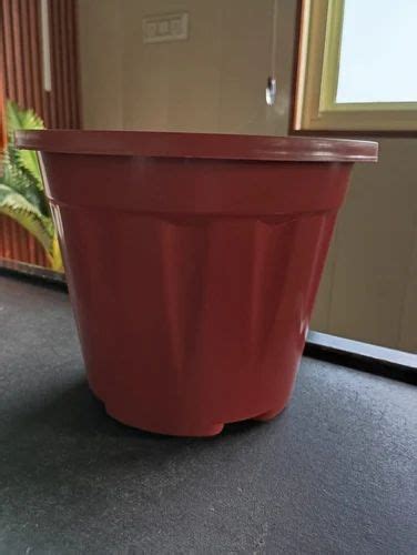 Nursery Pot - Orchid Nursery Pot 3.8" Black Manufacturer from New Delhi