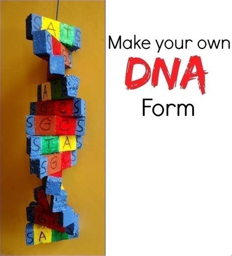 Image result for DNA DIY