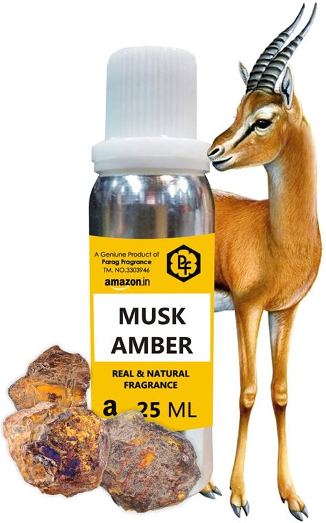 Parag fragrances Musk Amber Real & Long Lasting Liquid Attar For Unisex ...