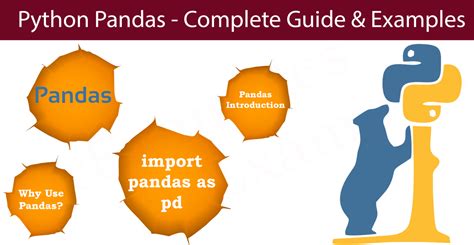 Panda Python Overview 的图像结果