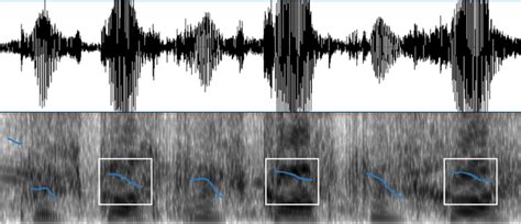 Spectrogram Analysis Tool 的图像结果