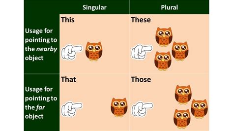 Image result for Distributive Examples Sentences