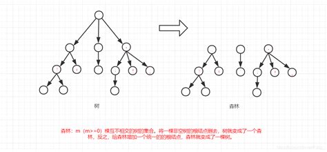 数据结构之树_树 数据结构-CSDN博客