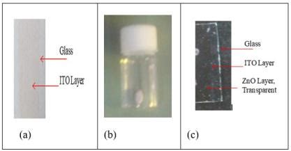 JRUB-Journal of Ravishankar University (Part-B)