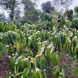 Places in Appangala, Karnataka | Yappe.in
