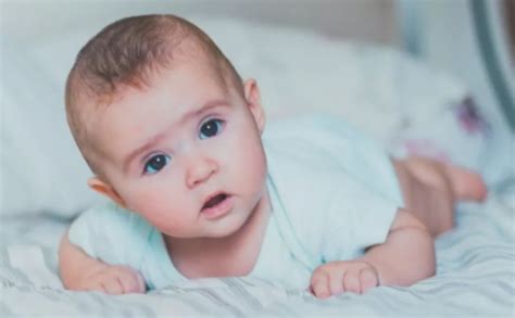宝宝8个月发育标准表 宝宝8个月指标要求 _八宝网