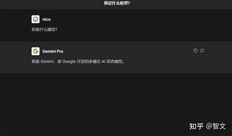 国内免费申请 Google Gemini API 及其应用 - 知乎