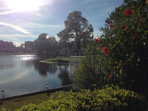 BEE'S RV RESORT (Clermont) - Campground Reviews, Photos, Rate ...