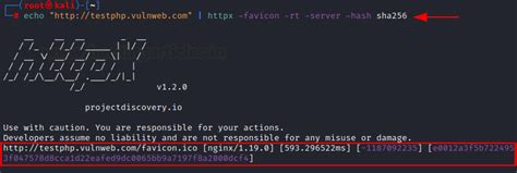 A Detailed Guide on httpx