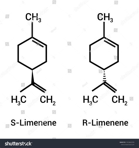Chemical Structure Limonene C10h16 Stock Vector (Royalty Free) 1923863339 | Shutterstock