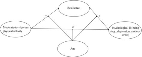 Image result for Moderated Mediation Model