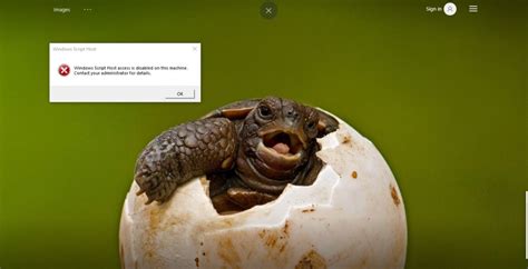 Windows Script Host Download 的图像结果
