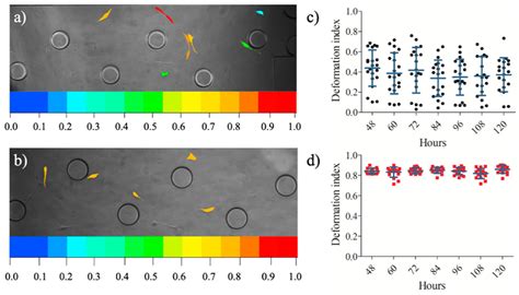Single-Cell Mechanophenotyping in Microfluidics to Evaluate Behavior of ...