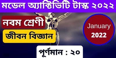 Image result for Model Activity Task Class 9 September