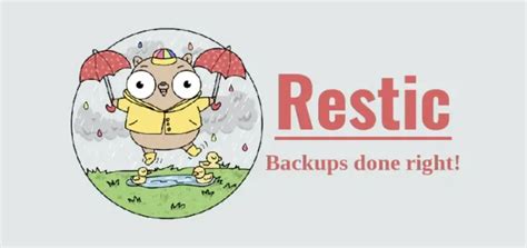 Image result for Linux Backup Tools