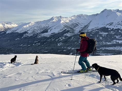 I've never been a huge fan of Elan skis before. But I got on the ...