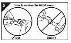 Using Muse Suppository 的图像结果