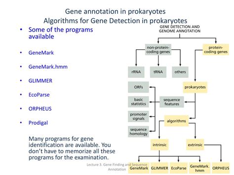 Image result for Gene Annotation Assignment