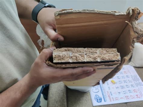 DFC Brion Engineered Wood Bookshelf Rack for Home Decor Living Room MDF ...