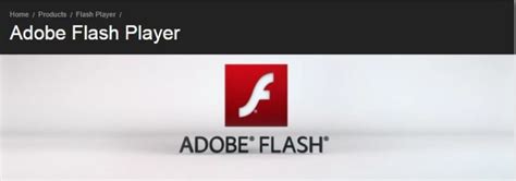 Image result for Flash Player Test