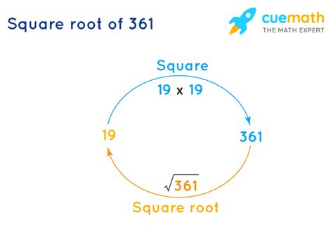 Square Root of 361 - How to Find the Square Root of 361?