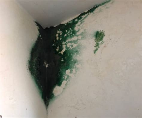 Image result for Slab Rectification