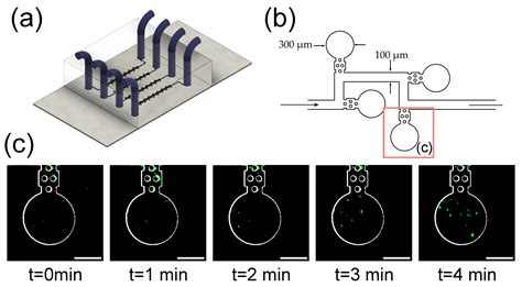 Single Plane Illumination Microscopy for Microfluidic Device Imaging